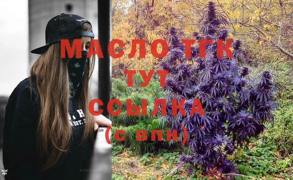 молекула духа Арсеньев