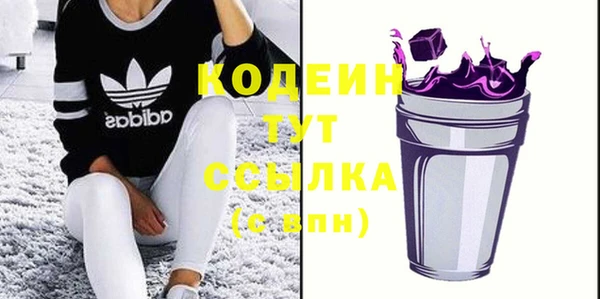 молекула духа Арсеньев