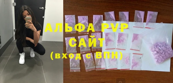 молекула духа Арсеньев