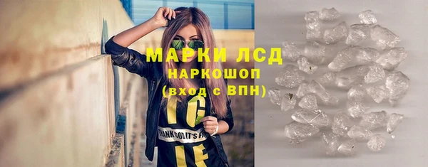 молекула духа Арсеньев