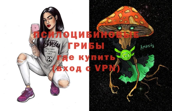 гашик Аркадак