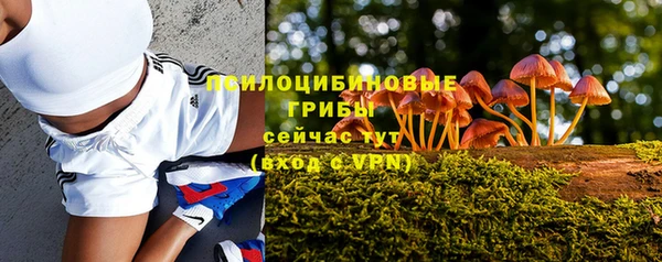 Альфа ПВП Зеленокумск