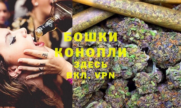 гашик Аркадак