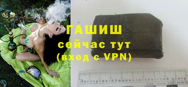 гашик Аркадак