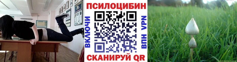 сайты даркнета наркотические препараты Колпашево Псилоцибиновые грибы мухоморы